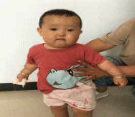 失踪人员：田洛伊