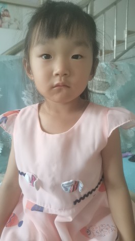 失踪人员：陆辰依的亲生父母