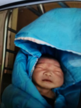 失踪人员：张甜甜