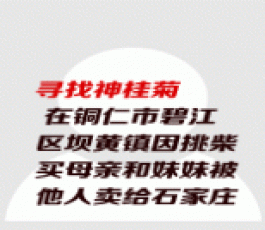 失踪人员：神桂菊