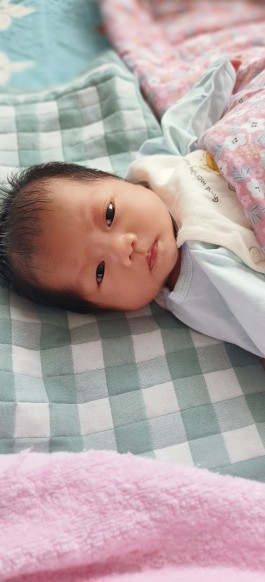 寻亲：张鑫晨