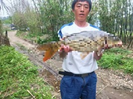 寻亲：吴官勇