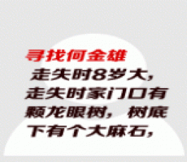 失踪人员：何金雄